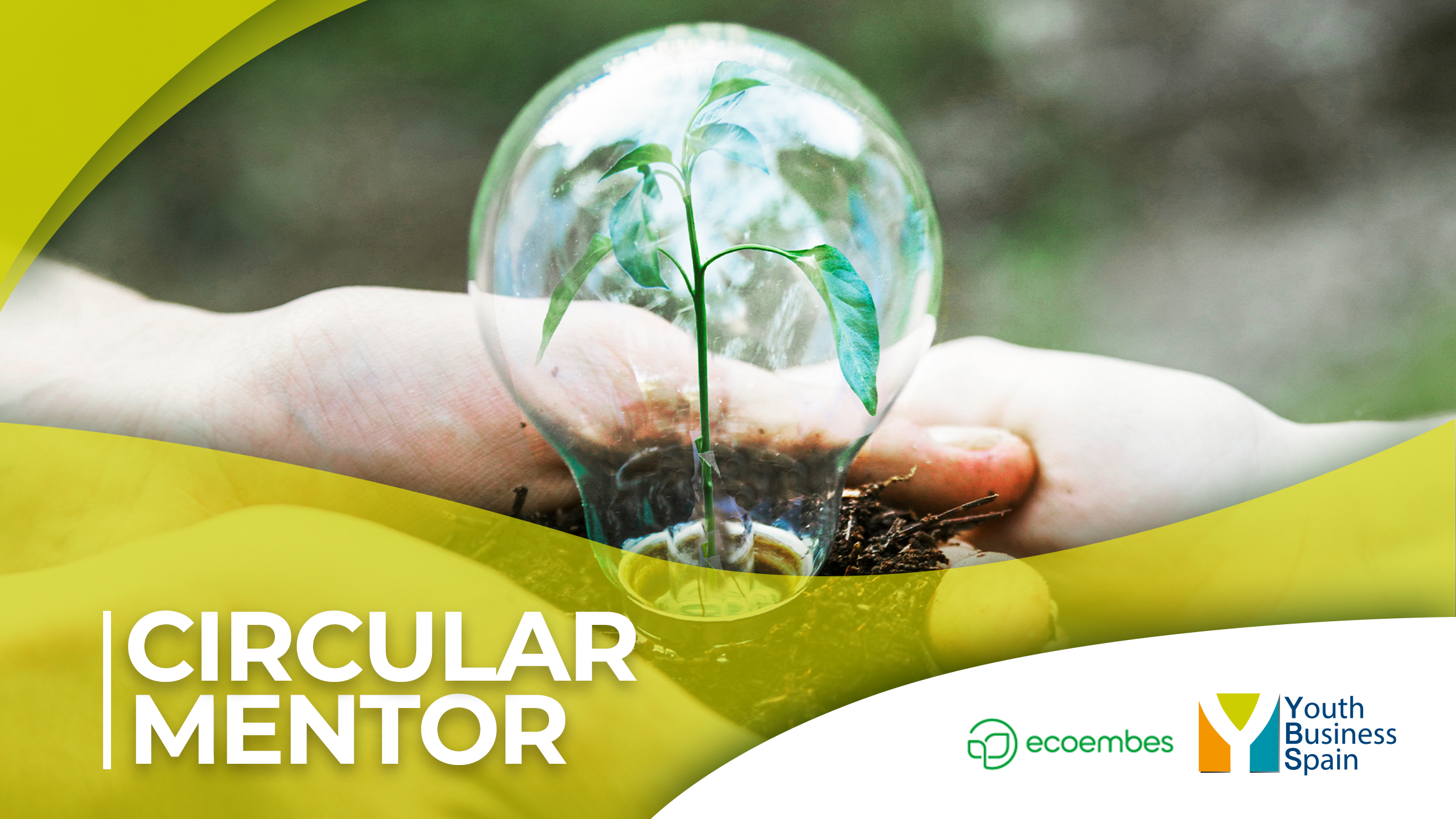 Circular Mentor